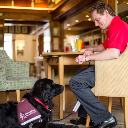 Steve and his hearing dog, Echo