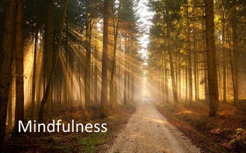 Mindfulness - forest