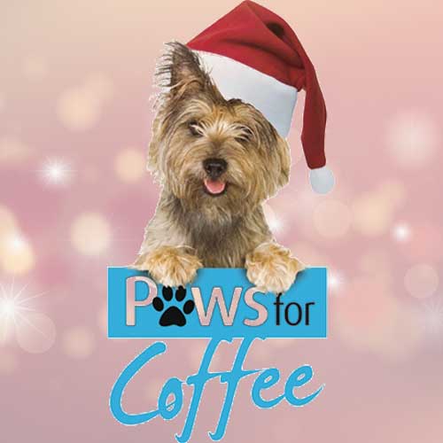Paws for coffee this Christmas