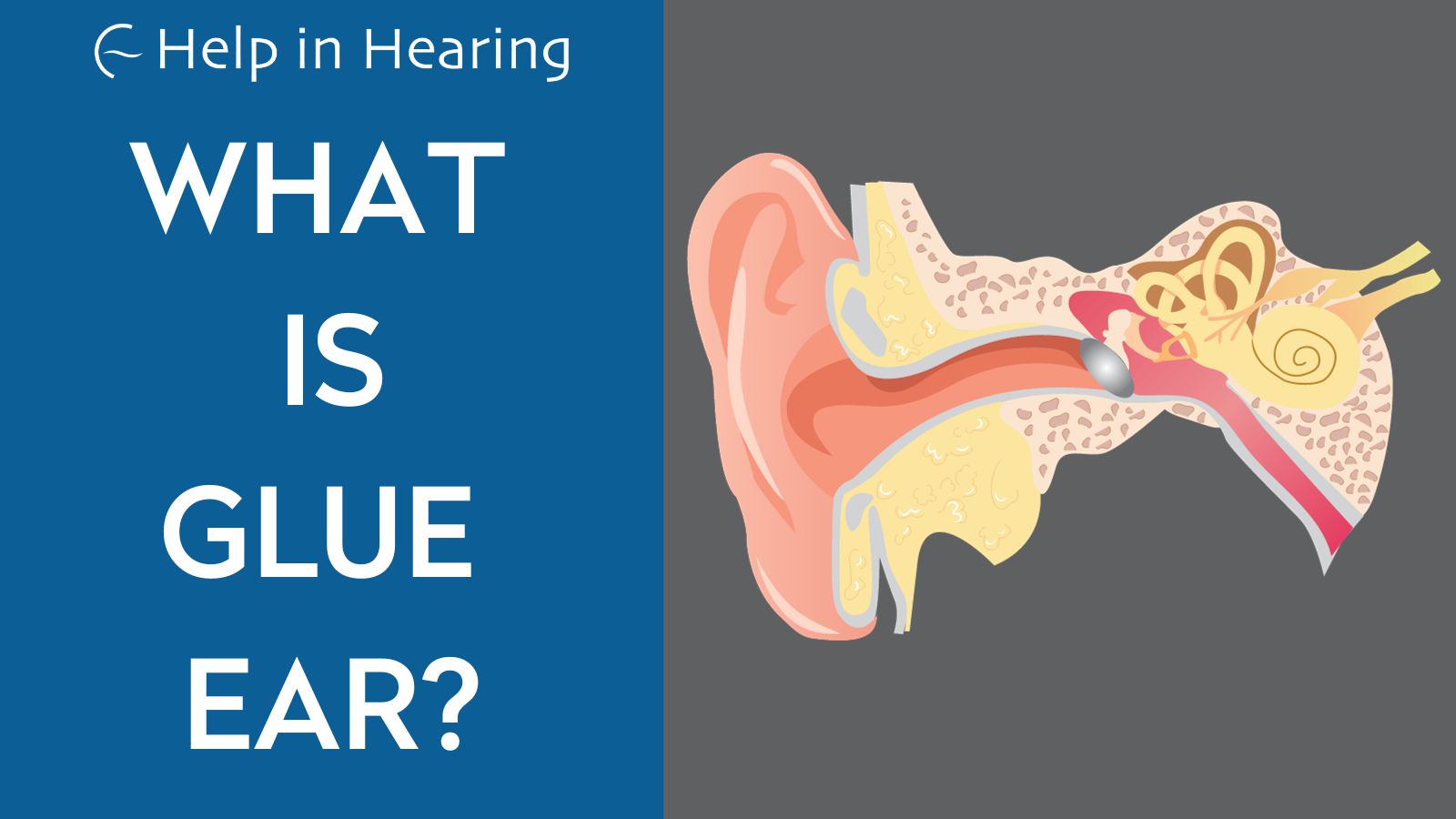 Image depicting text on the left hand side with the blogtitle and a diagram of the inner workings of the ear on the right